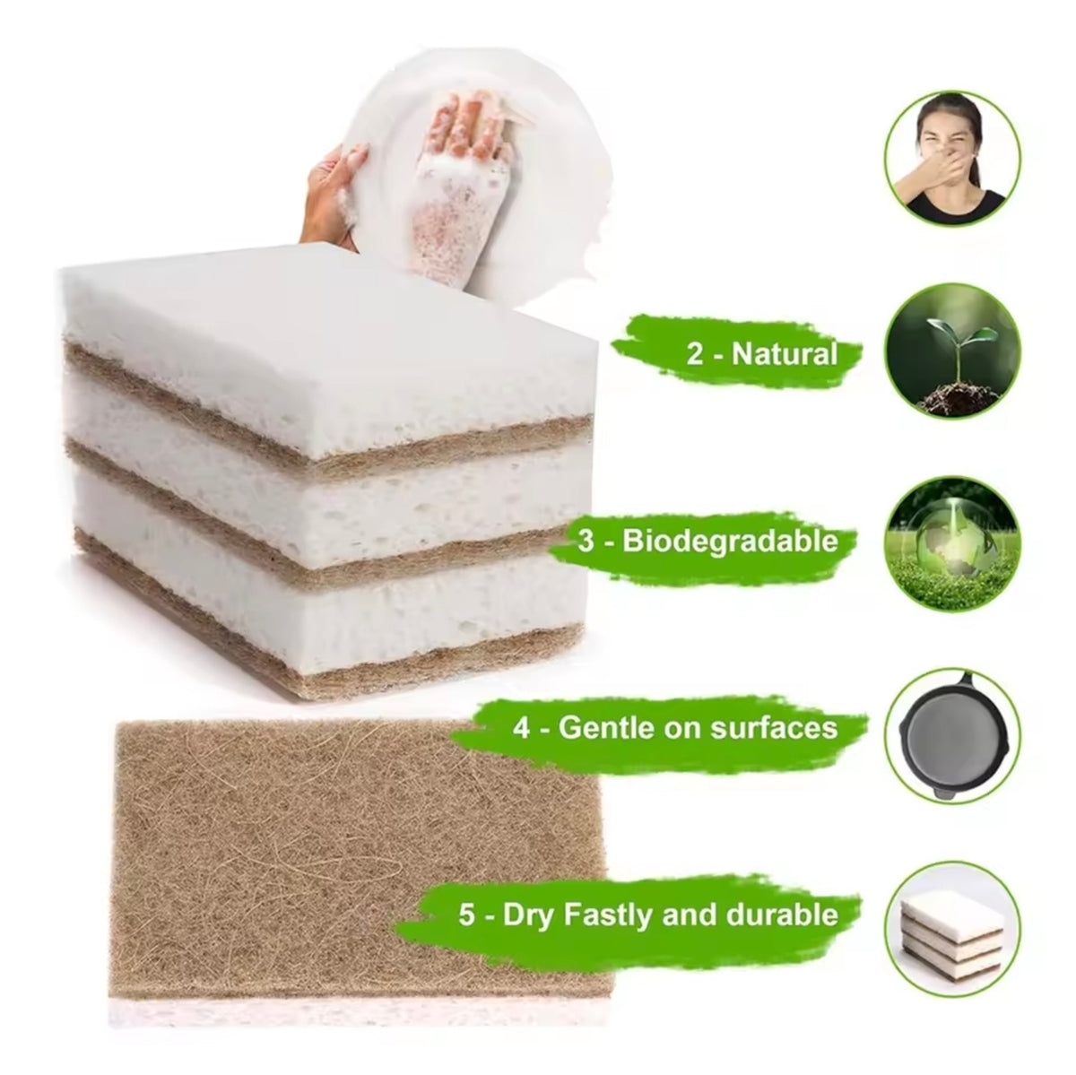 Eco-Friendly Natural Sponges for Dishes 12 Pack - Biodegradable Kitchen Sponge with Compostable Coconut Scrubber