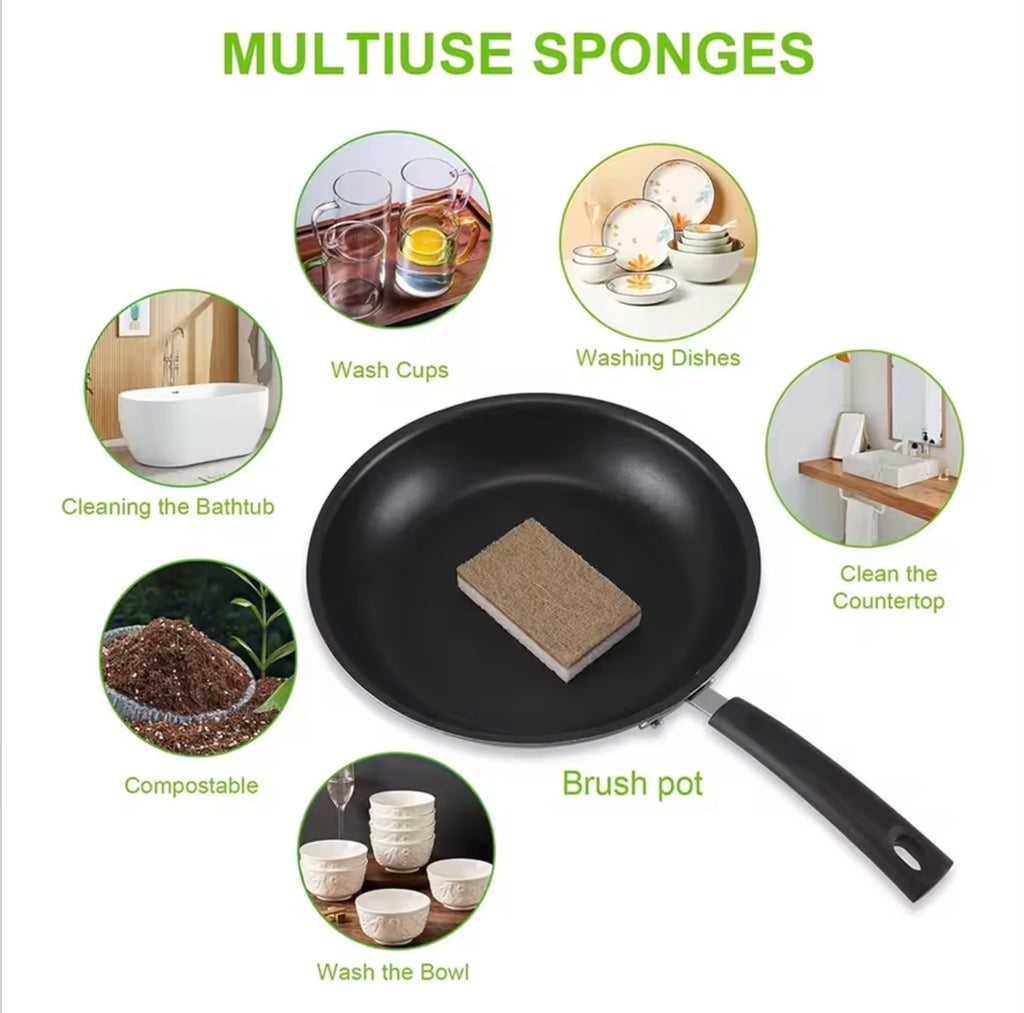 Eco-Friendly Natural Sponges          12 Pack