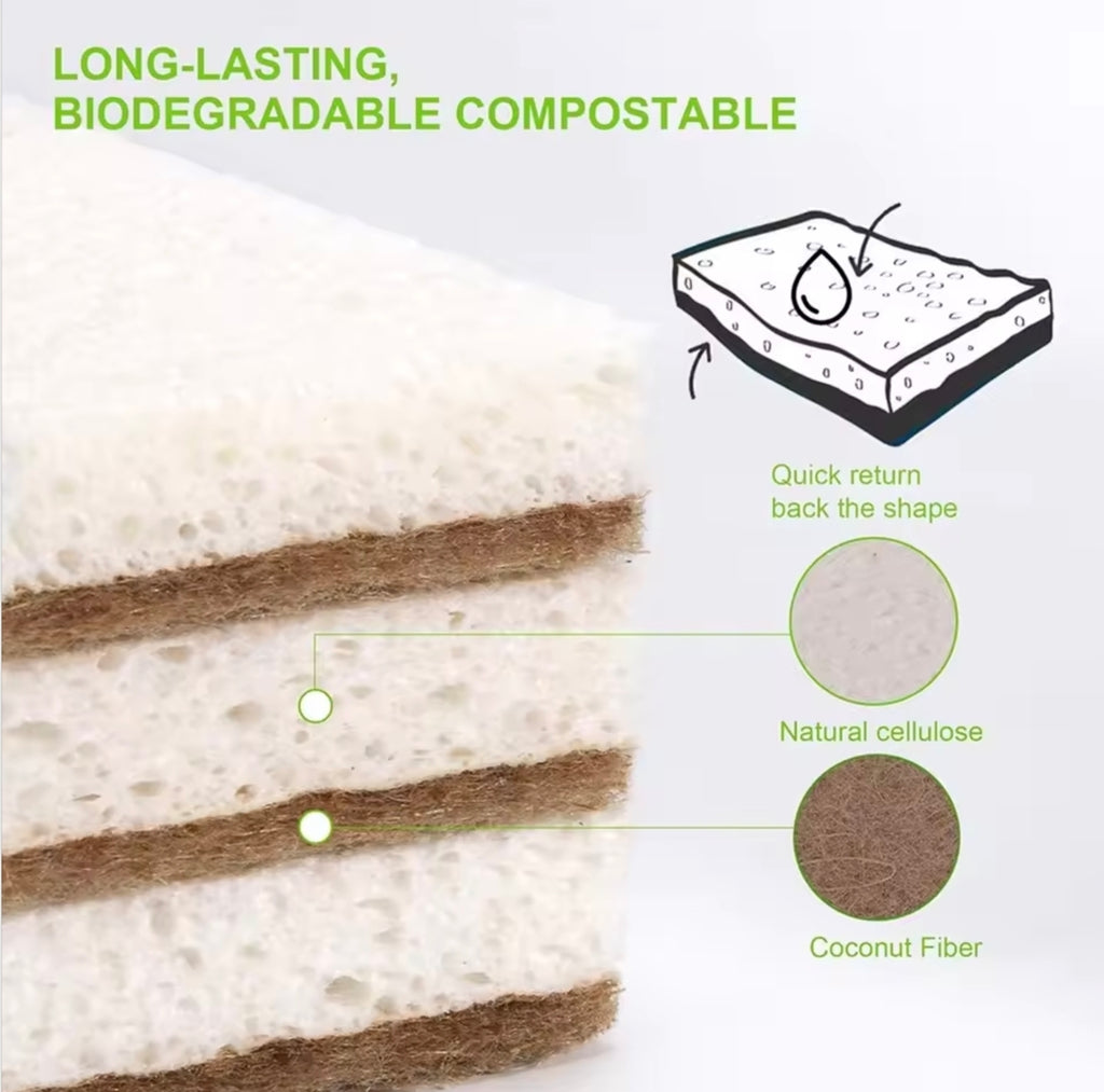 Eco-Friendly Natural Sponges          12 Pack