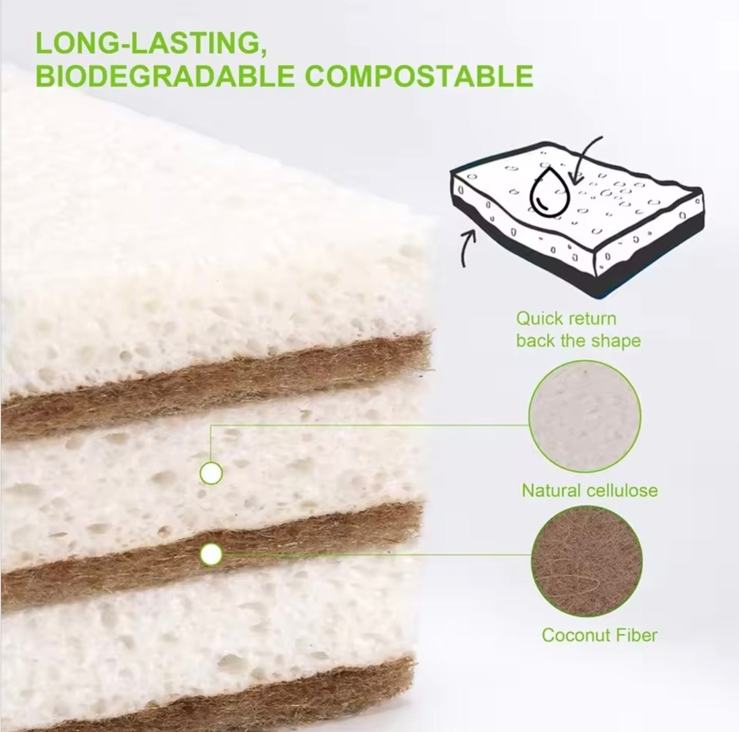 Eco-Friendly Natural Sponges          12 Pack